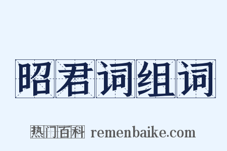 昭君词组词是什么意思的图片